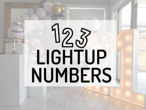 123 Lightup Numbers