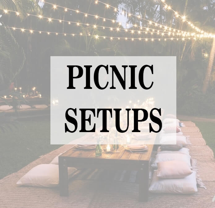 Picnic Setups